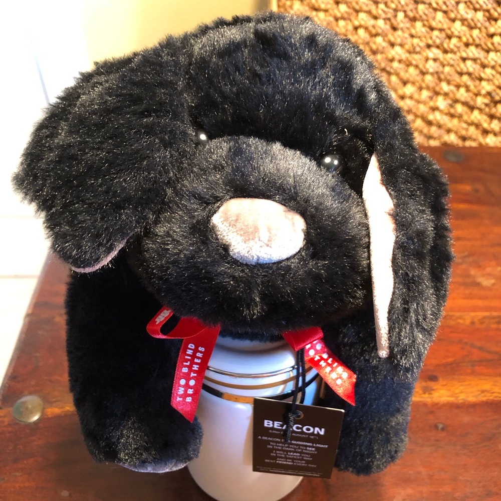 Two Blind Brothers "Braille" Guide Dog Plush 13” NEW WITH TAGS